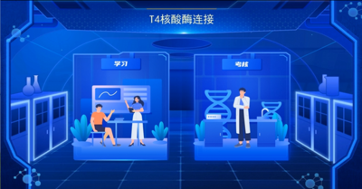 T4核酸酶连接3D虚拟仿真教学服务系统